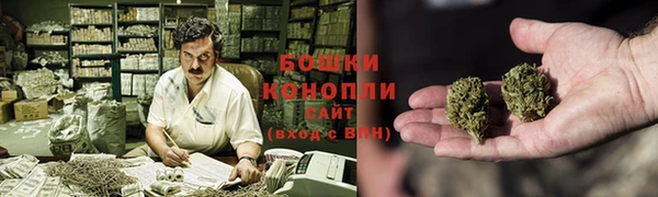 ПСИЛОЦИБИНОВЫЕ ГРИБЫ Алзамай