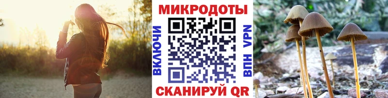 Псилоцибиновые грибы мицелий  Губкин 